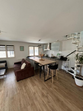Cosy appartement St Servan centre